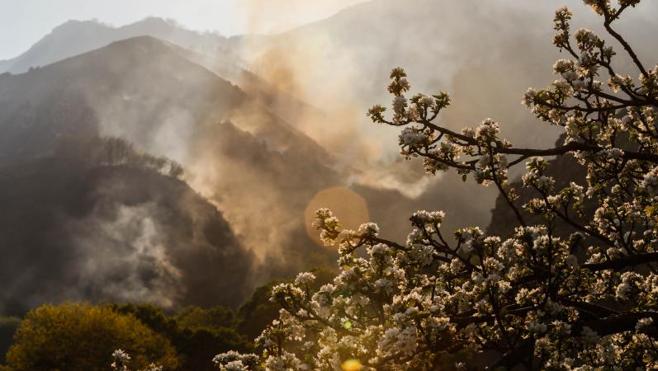Incendio forestal en Sobrescobio. 