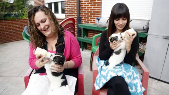 Las hermanas nodrizas Patricia y Lucía López.