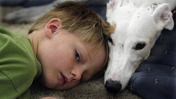 Los perros de compañía ayudan a los niños a reducir sus niveles de estrés