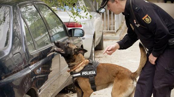 Protección Civil se suma a la petición de la ONG Héroes de 4 patas para celebrar un Día Mundial del perro de trabajo