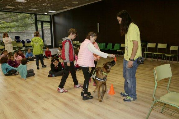 Los alumnos de 4º de Primaria del colegio Manuel Fernández Juncos disfrutaron de un taller con perros para combatir el acoso escolar. 