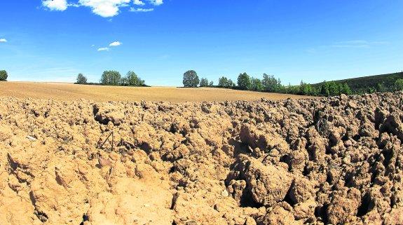 Una finca seca en el suroccidente de la región. 