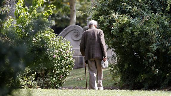 Un anciano pasea por por un parque.