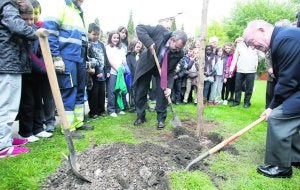 Un momento de la plantación del árbol en Ciaño. ::
J. C. ROMÁN