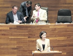 Dolores Carcedo, durante su intervención en el pleno del pasado 14 de junio. ::                            MARIO ROJAS