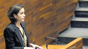 Dolores Carcedo, ayer, durante su comparecencia en pleno extraordinario para explicar el plan de ajuste. ::                             JESÚS DÍAZ