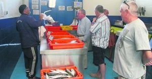 Las ventas en la lonja candasina recuperaron la normalidad ayer con una notable afluencia de clientes locales y veraneantes . ::
P. G.-P.