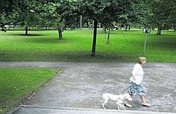 Zona del parque de Isabel la Católica en la que se produjo el ataque del pitbull. ::                             LUIS SEVILLA