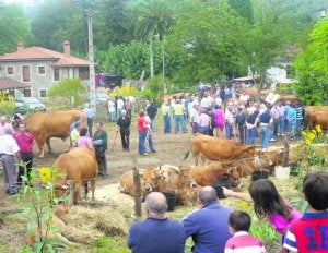 Vista del público congregado ayer en la feria de ganado de Puentevega, en Pravia. ::                             RAFA BALBUENA