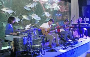 Tyfpe lleva el jazz al auditorio del Acuario