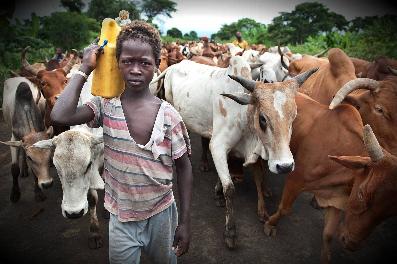 Camino de Arbaminch.