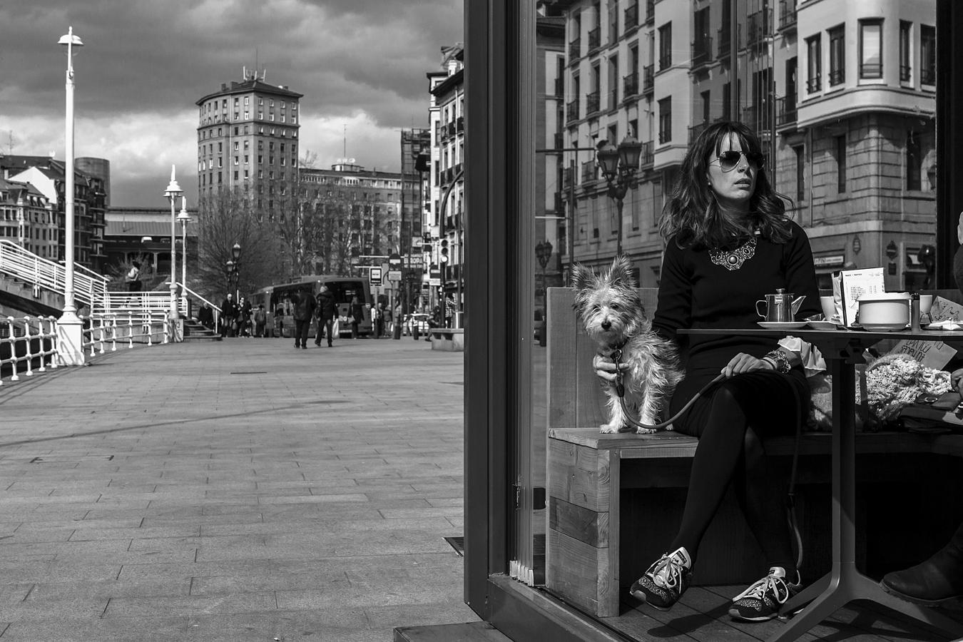A todo el mundo, incluidos los perritos, le gusta ver la vida pasar junto a la ría.