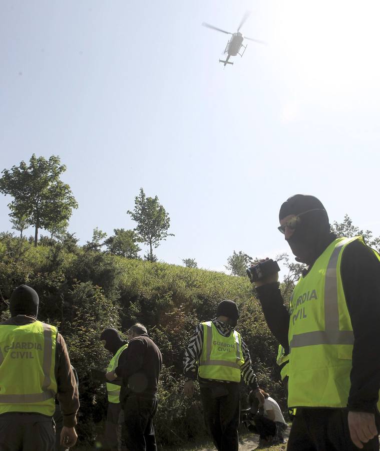 Desmantelan el &#039;bosque de Gudaris&#039; que homenajeaba a etarras muertos