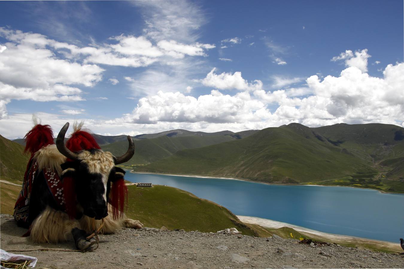 De Nepal a Tíbet, por la Carretera de la Amistad