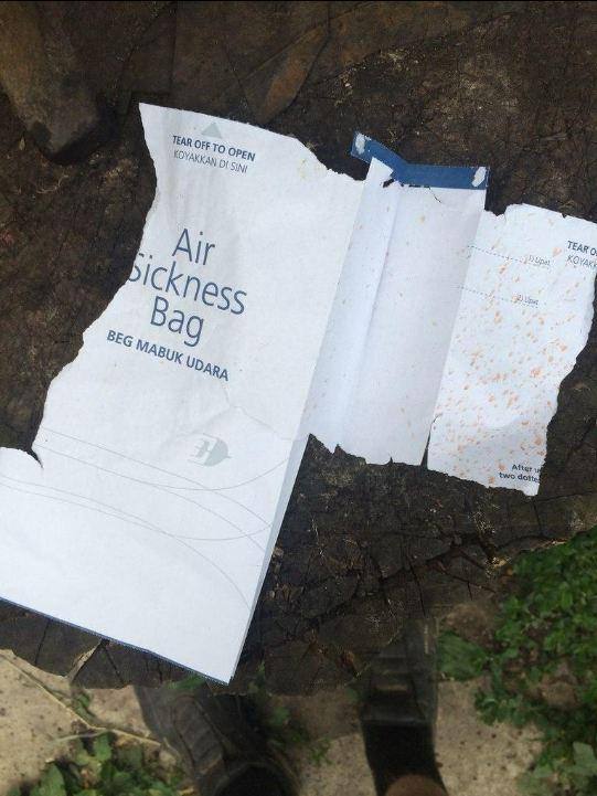 Imágenes del accidente del Boeing-777 en Ucrania