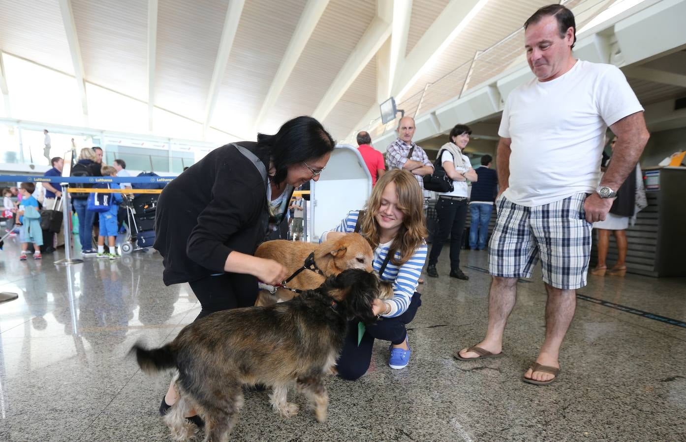 Los niños de Chernobil vuelven a casa