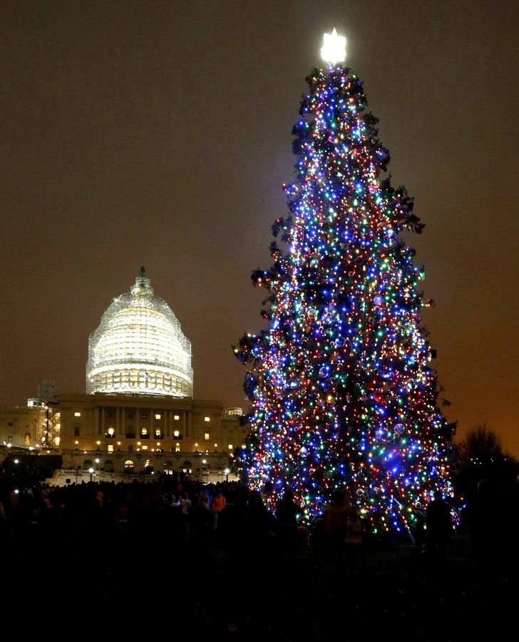 El árbol yanqui. La gente se reúne el 2 de diciembre para ver el encendido de luces del árbol del Capitolio en Washignton D.C. (EE UU), un abeto de casi 27 metros que este año llegó directo del Bosque Nacional de Chippewa, en Cass Lake, Minnesota.