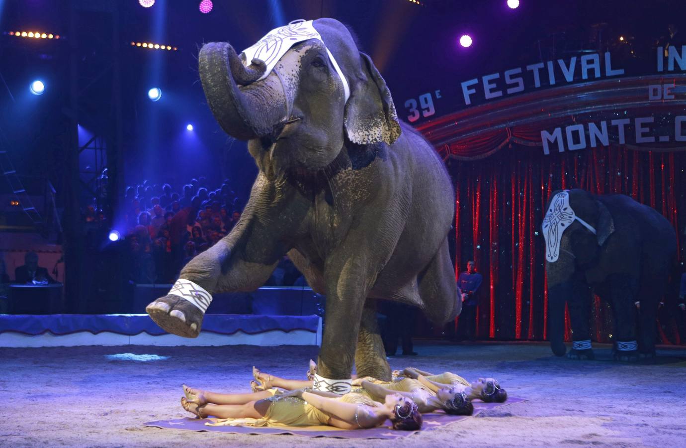 Los elefantes, las estrellas del Festival Internacional de Circo de Montecarlo