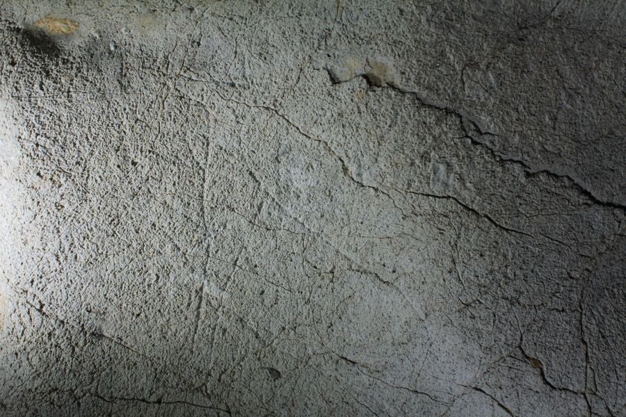 Nuevo hallazgo de arte rupestre paleolítico en la cueva de Erlaitz
