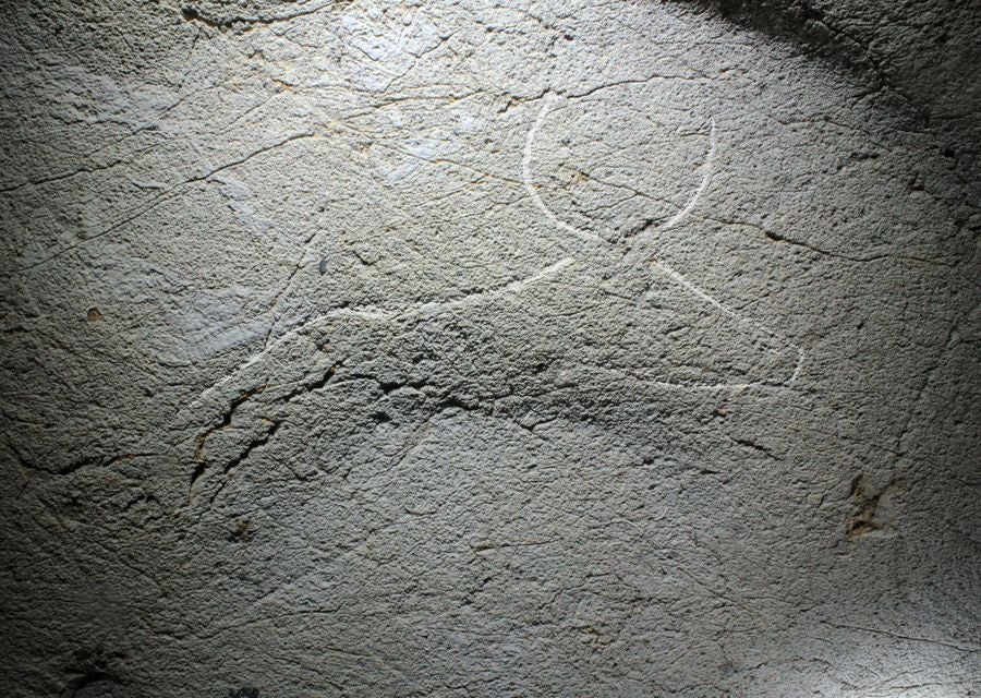 Nuevo hallazgo de arte rupestre paleolítico en la cueva de Erlaitz