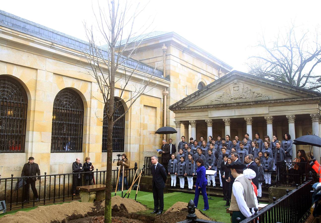 El Árbol de Gernika echa nuevas raíces