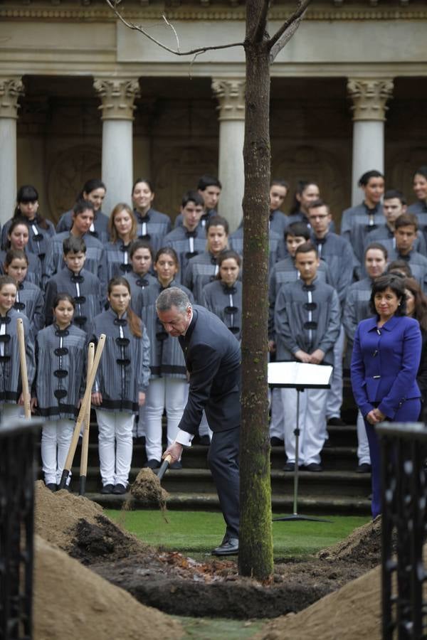 El Árbol de Gernika echa nuevas raíces