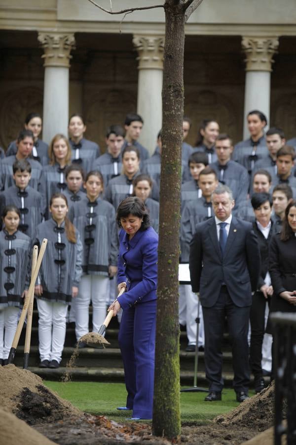 El Árbol de Gernika echa nuevas raíces