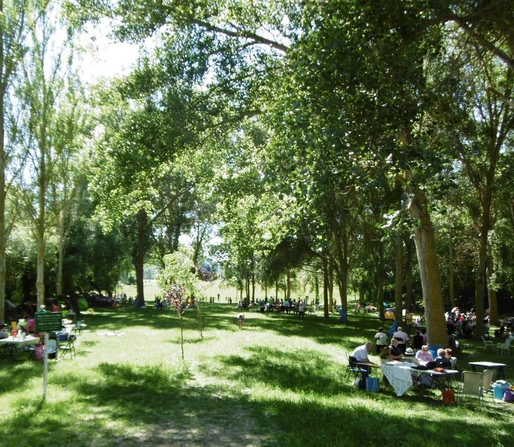 La chopera de los pozos.. 