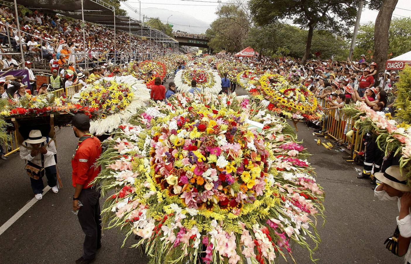 Medellín se llena de flores