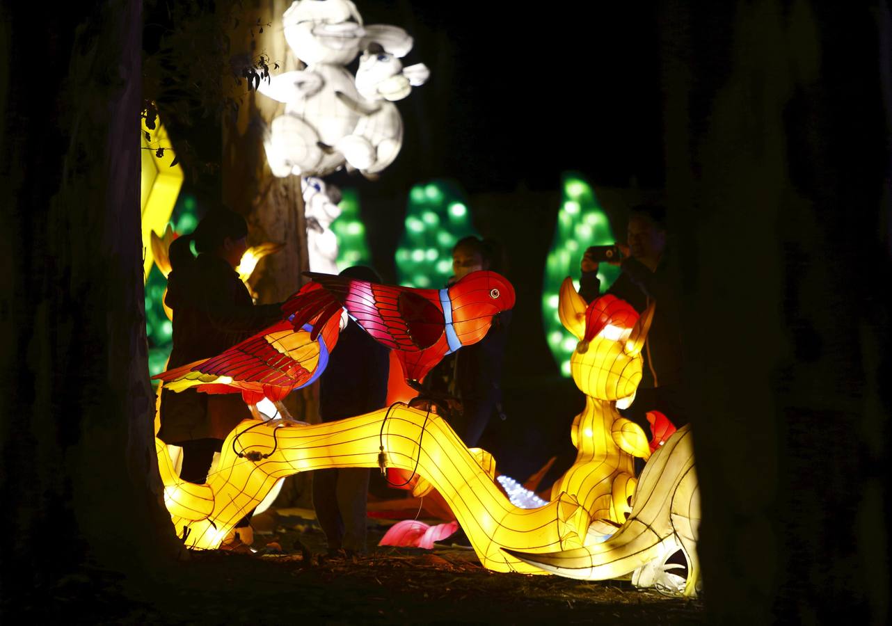 Luces mágicas iluminan Melbourne