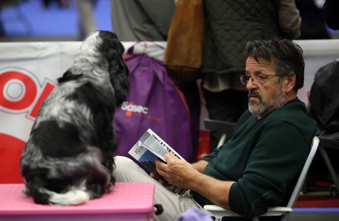 Más de 4.000 perros se dan cita hoy en el BEC