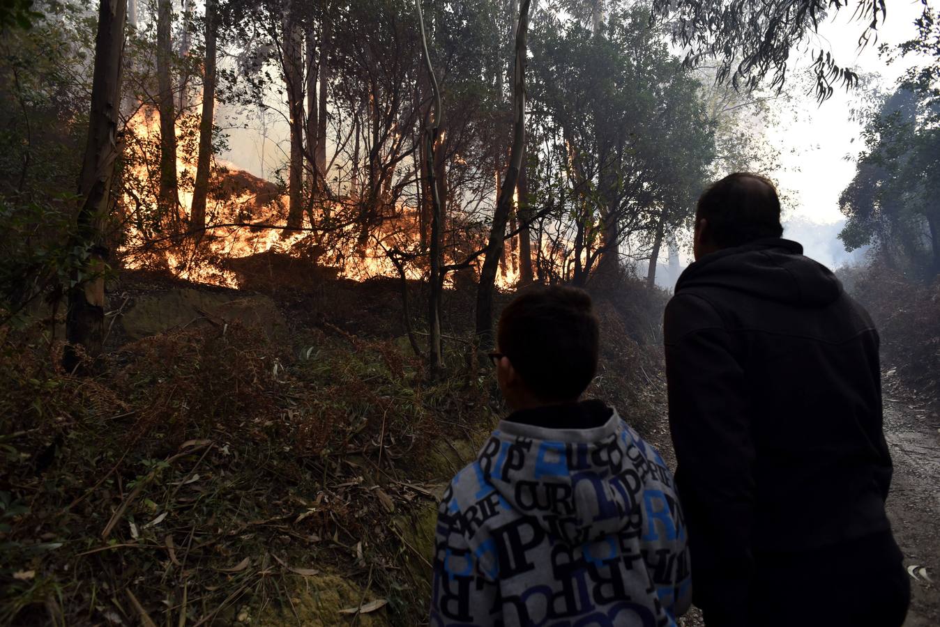 El incendio declarado en Berango, en imágenes