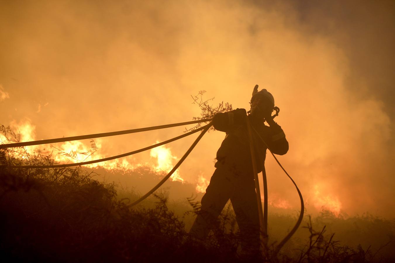 El incendio declarado en Berango, en imágenes