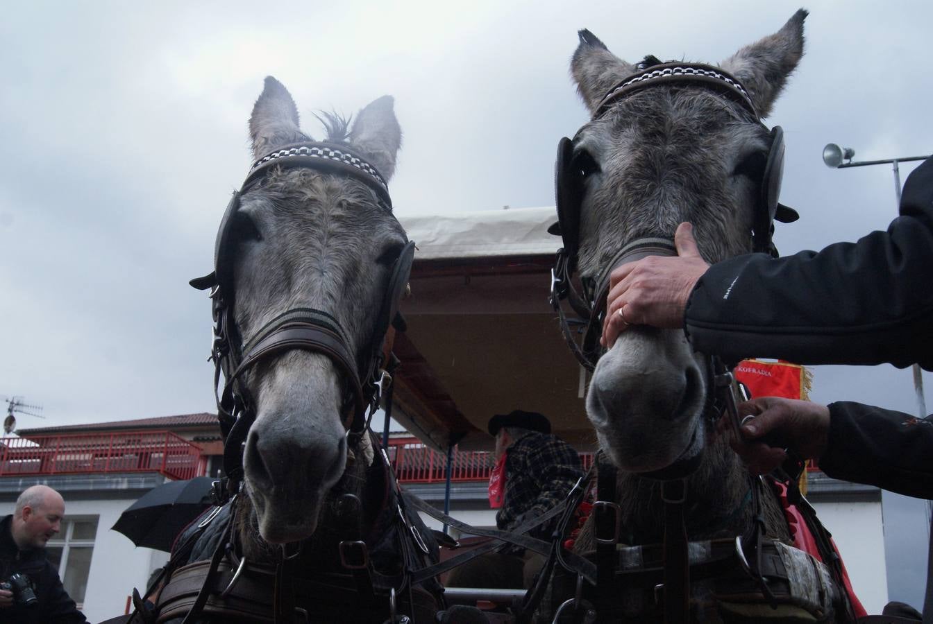 Desde Llodio a El Rocío en mula