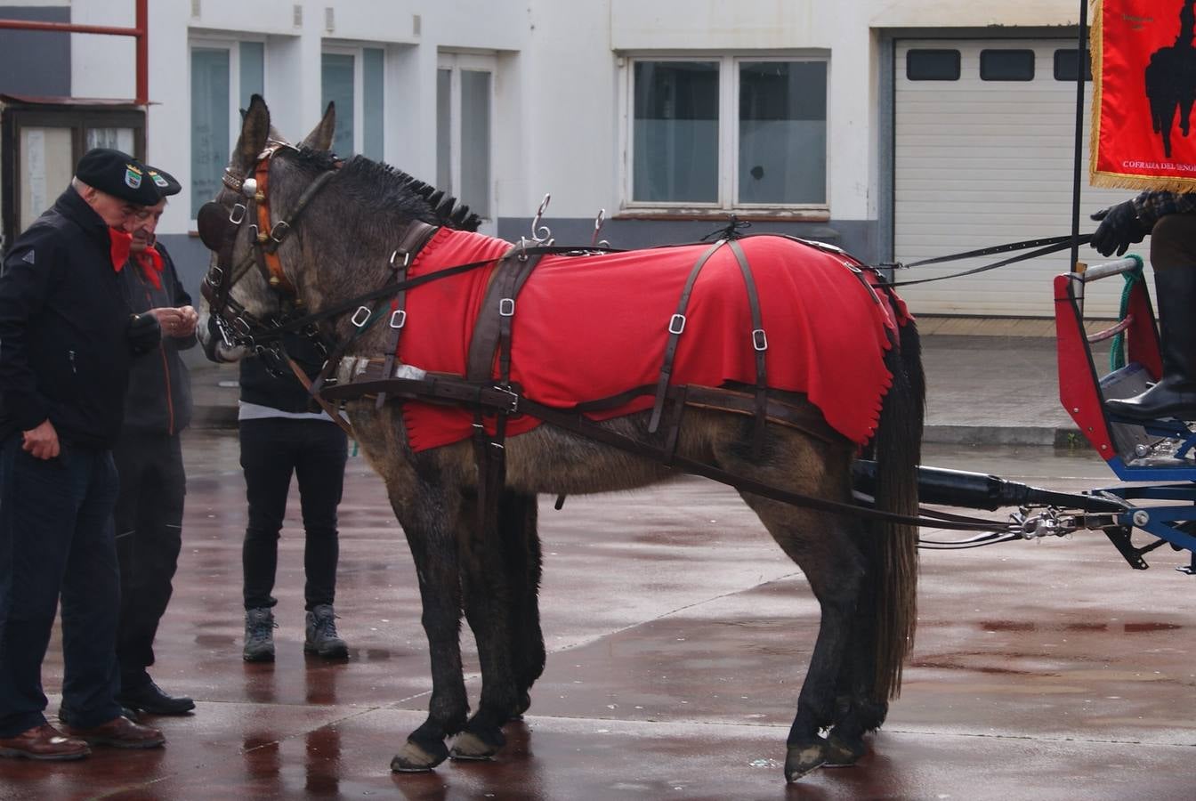 Desde Llodio a El Rocío en mula