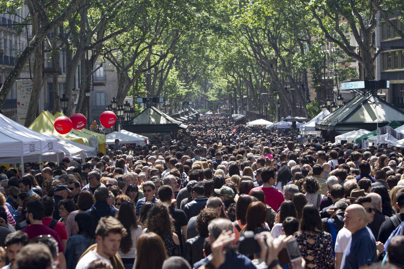 Cataluña celebra la tradicional fiesta de Sant Jordi