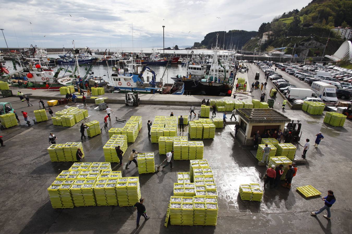 La campaña de la anchoa desborda al puerto de Ondarroa