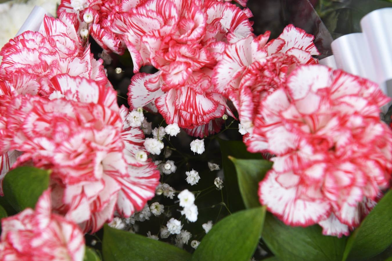 Mercado de las flores de El Arenal