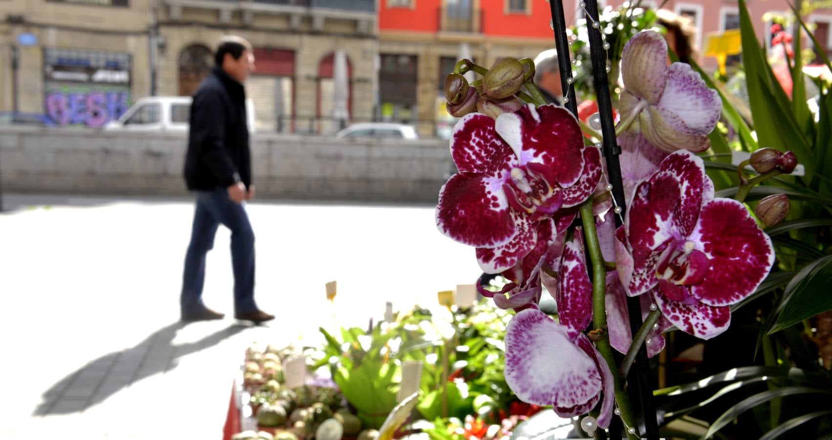 Mercado de las flores de El Arenal