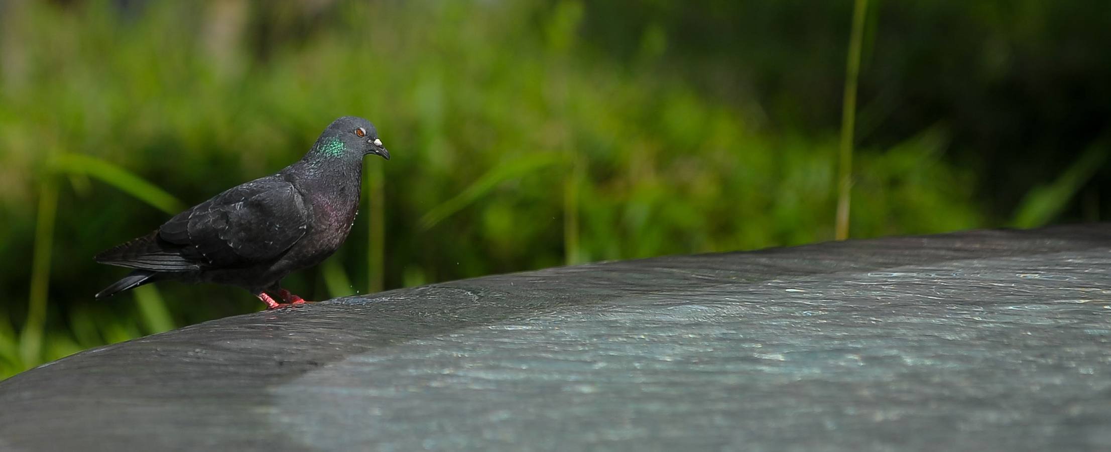 La Alhóndiga, desde sus mejores ángulos