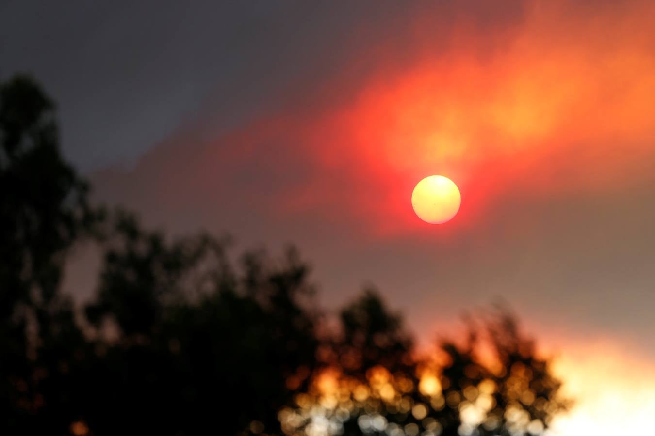 Un impresionante incendio en Santa Bárbara pone en alerta a  Los Ángeles y Orange