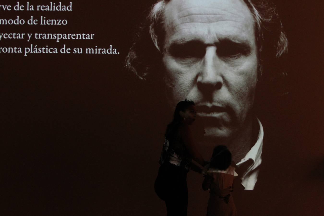 Exposición homenaje a Schommer en Vitoria
