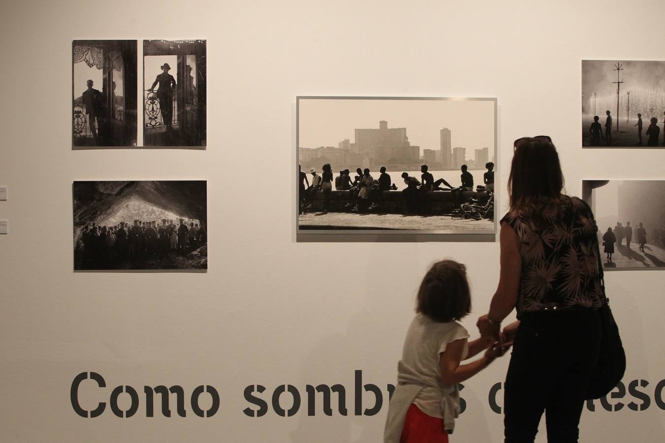 Exposición homenaje a Schommer en Vitoria