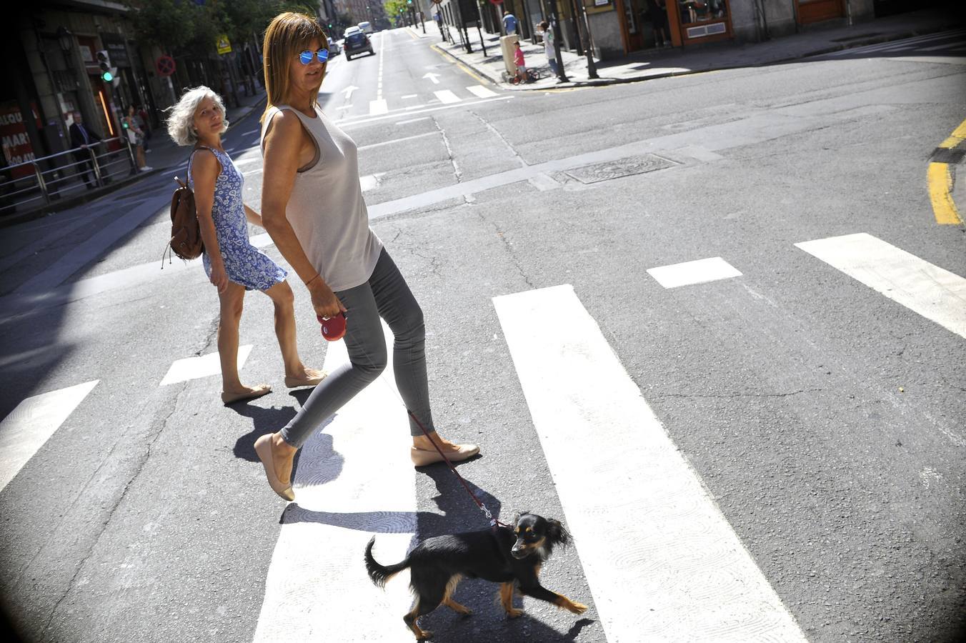 Idoia Mendia (PSE), paseando a su perra Lur.