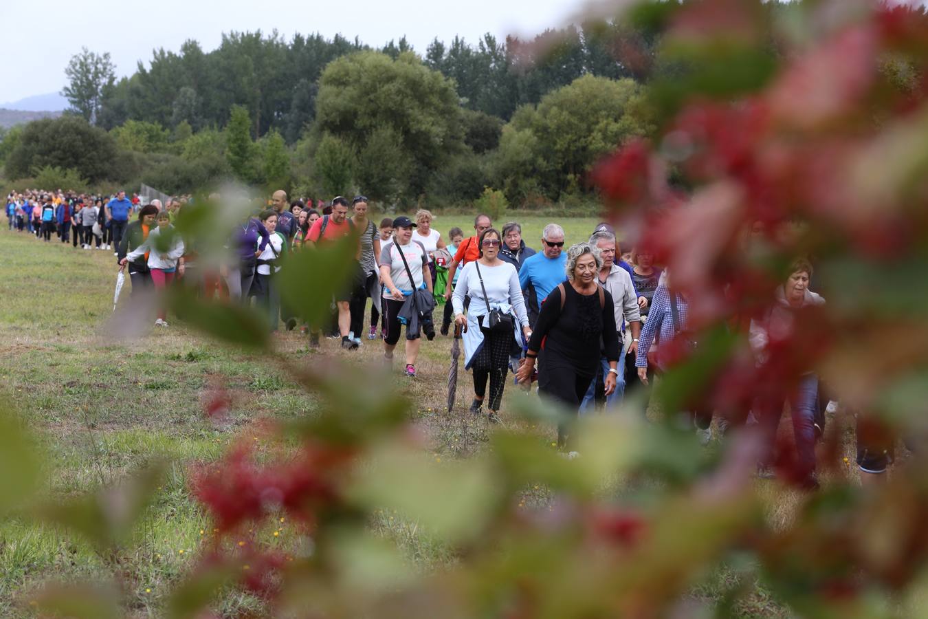 Nueva Marcha Green organizada por EL CORREO