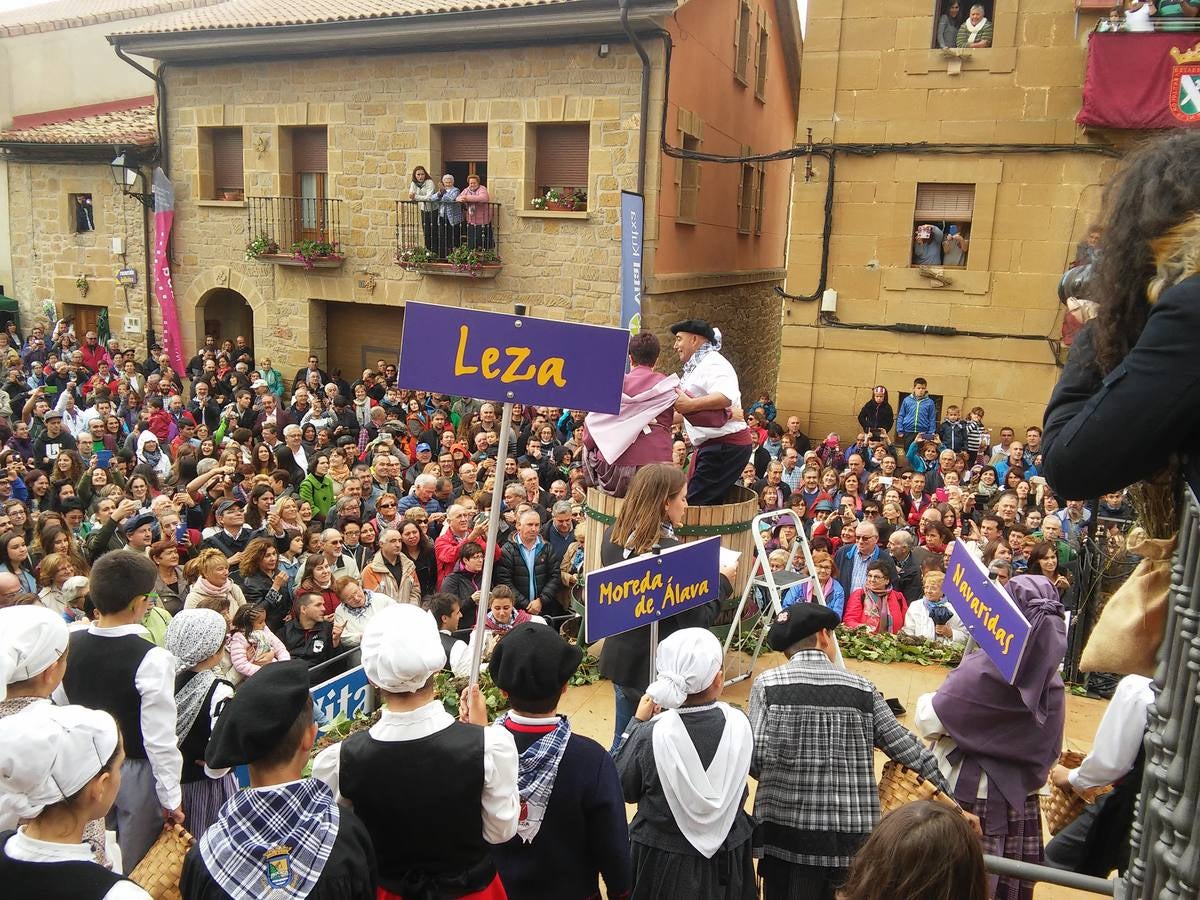 El agua no puede con el vino en Samaniego