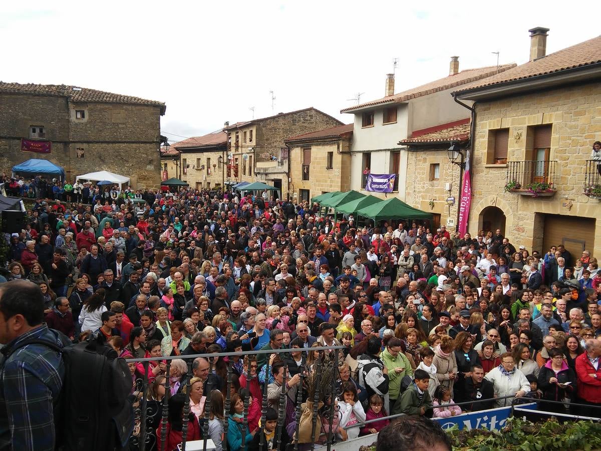 El agua no puede con el vino en Samaniego
