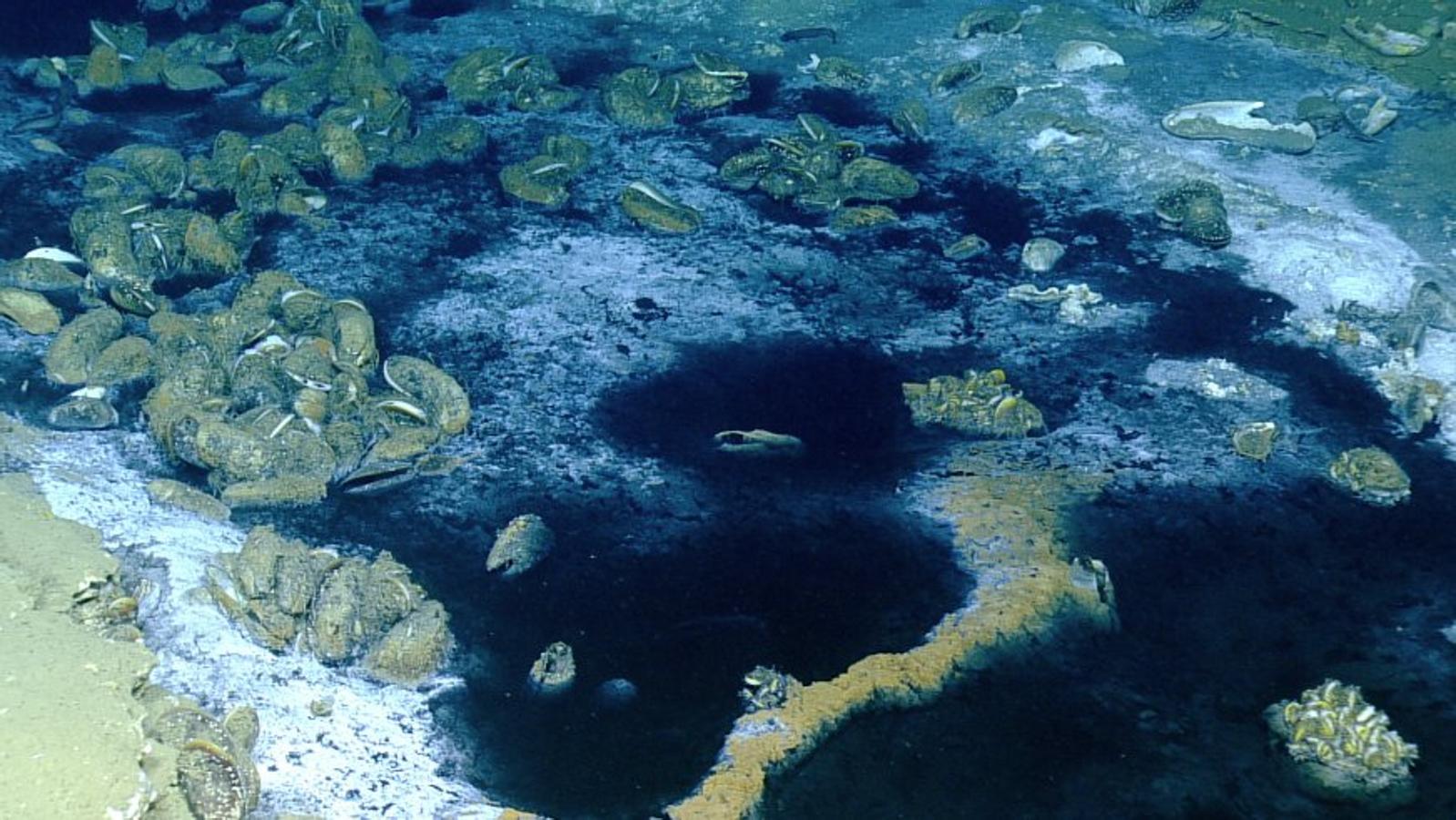 &#039;El jacuzzi de la desesperanza&#039;