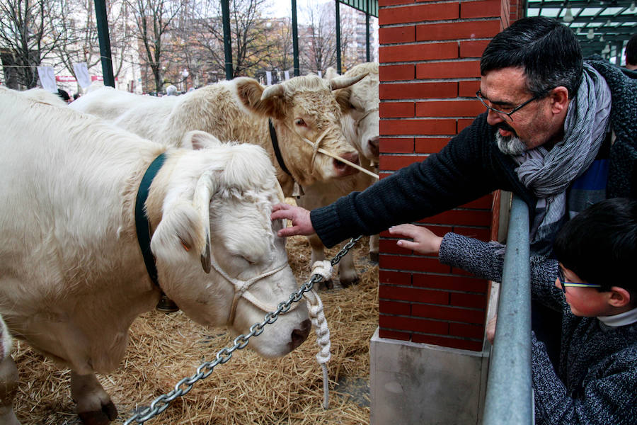 Feria ganadera y agrícola en Leioa