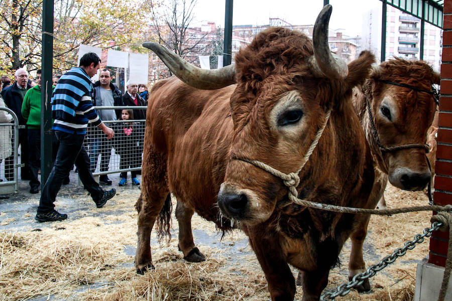 Feria ganadera y agrícola en Leioa